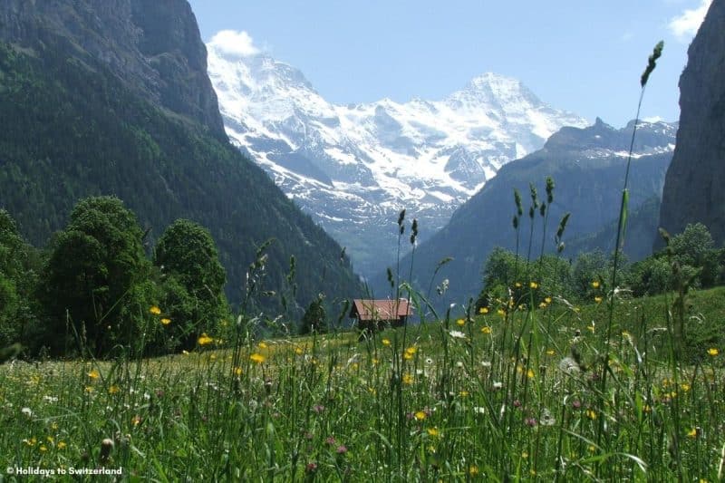 Spring Suiss Essential information for visiting Switzerland in Spring | Holidays to ...