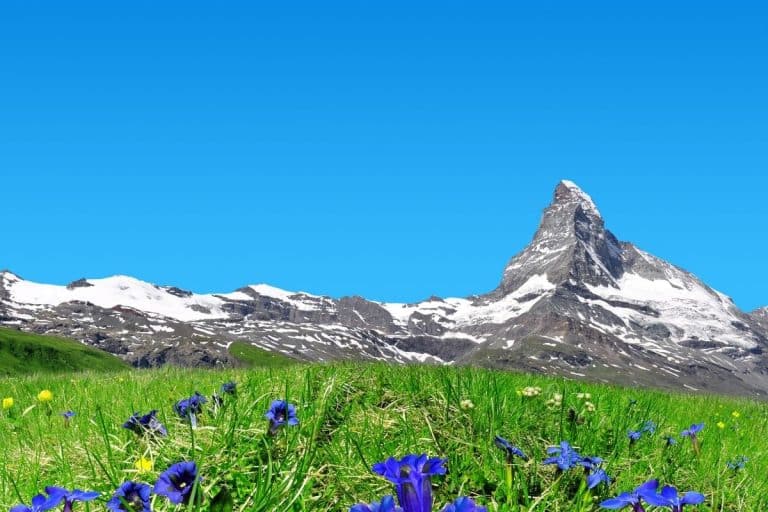 Spring Suiss Essential information for visiting Switzerland in Spring | Holidays to ...
