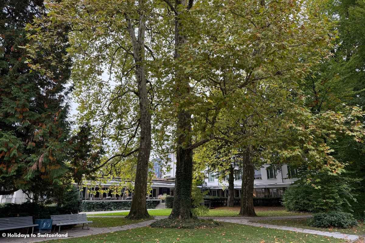Park beside Park Hotel Winterthur