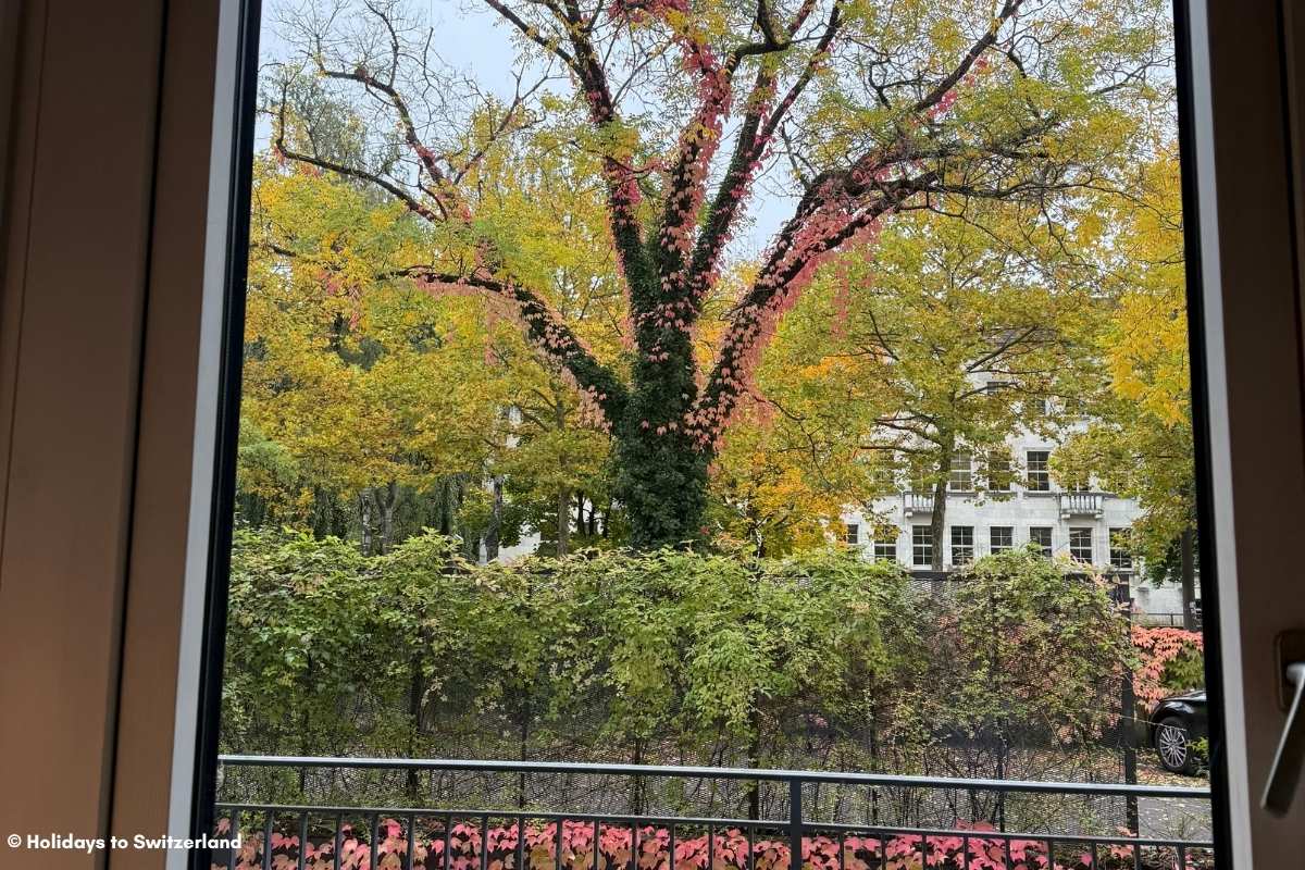 View from window of Park Hotel Winterthur